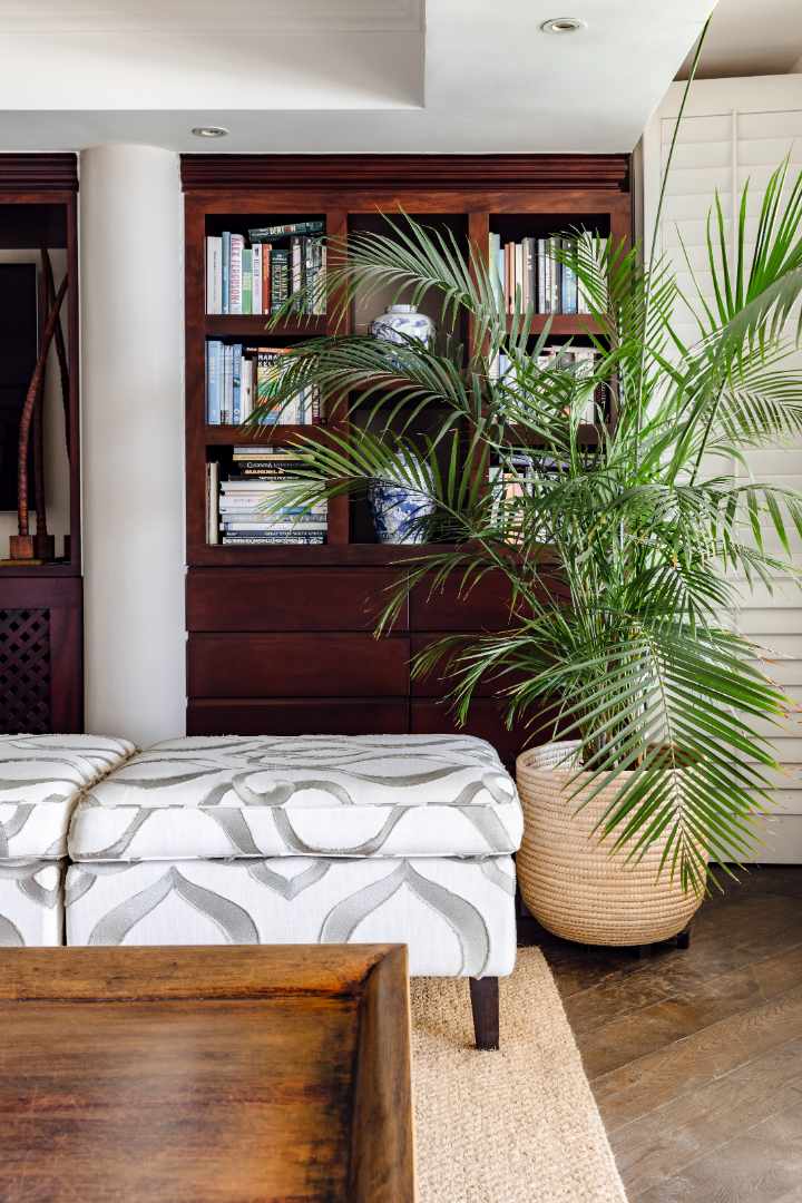 To Let 3 Bedroom Property for Rent in Clifton Western Cape